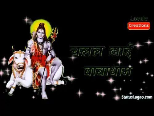 Cancel Kara Visa Dubai Wale Jija Bhojpuri Whatsapp Status Video