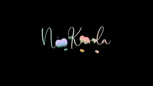 Care Ni Karda-Tu To Saddi Care Ni Karda Song Status