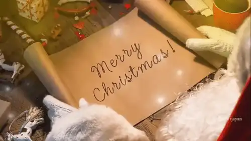 Christmas Whatsapp Video Status