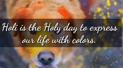 Holi 2021 WhatsApp Video Status