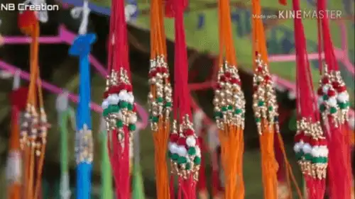 Jinki Hoti Hai Behana Wo Bhai Kisamt Vale Video Status