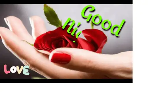Love Good Night Status Good Night Whatsapp Status