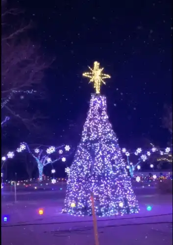 Merry Christmas-Coming Soon Status Video-Christian Festival