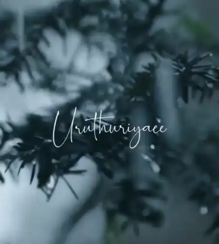 New WhatsApp Status Video - Trending Song WhatsApp Status Video - Tamil WhatsApp Status Video