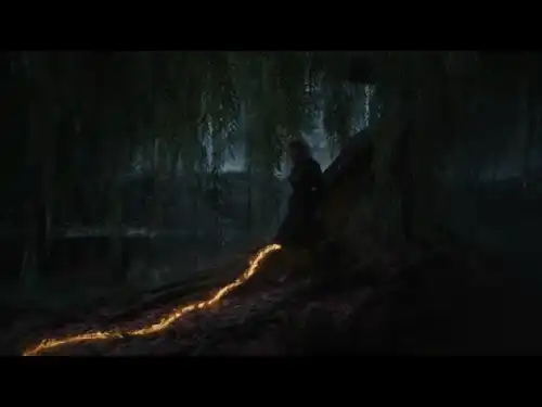 Willow official Taylor Swift Hollywood Whatsapp Status